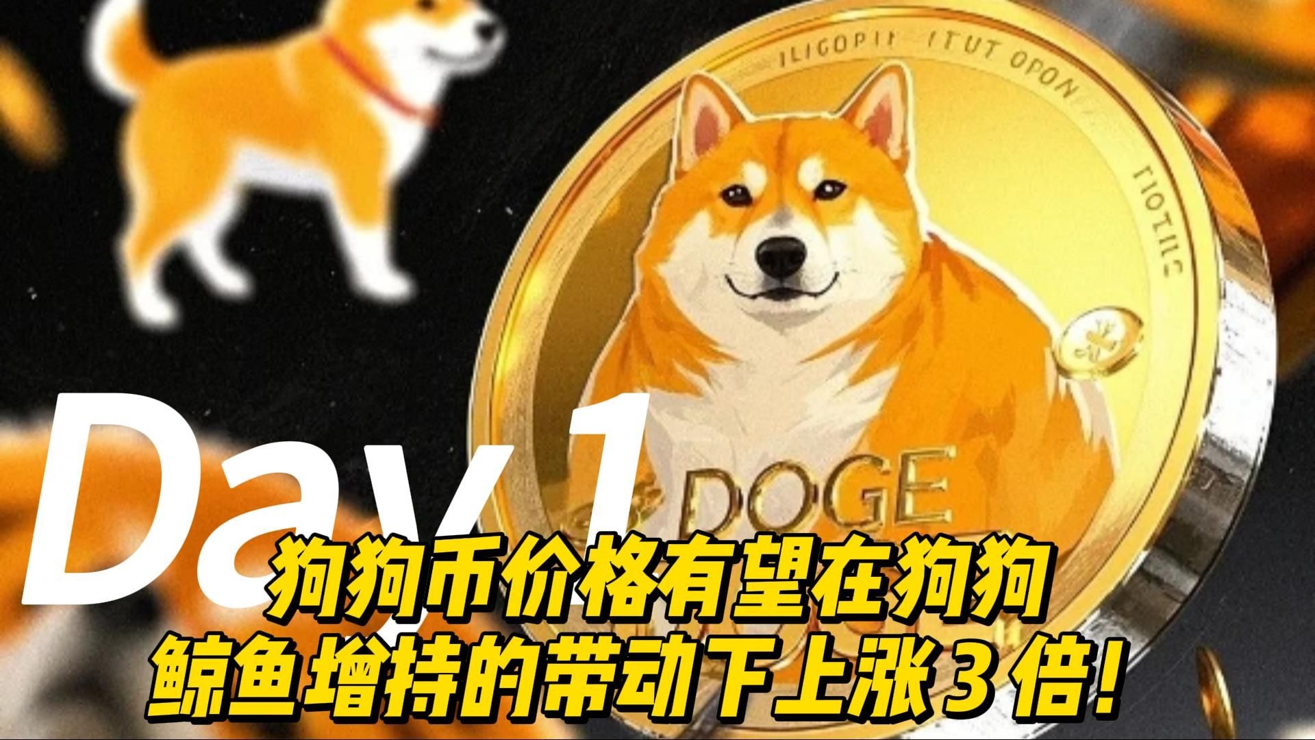 专家称狗狗币将在年底冲破399美元，引发引发关注