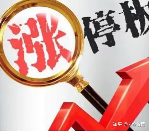 开云足球-SEC冲破333美元大关，牛市是否已来临？