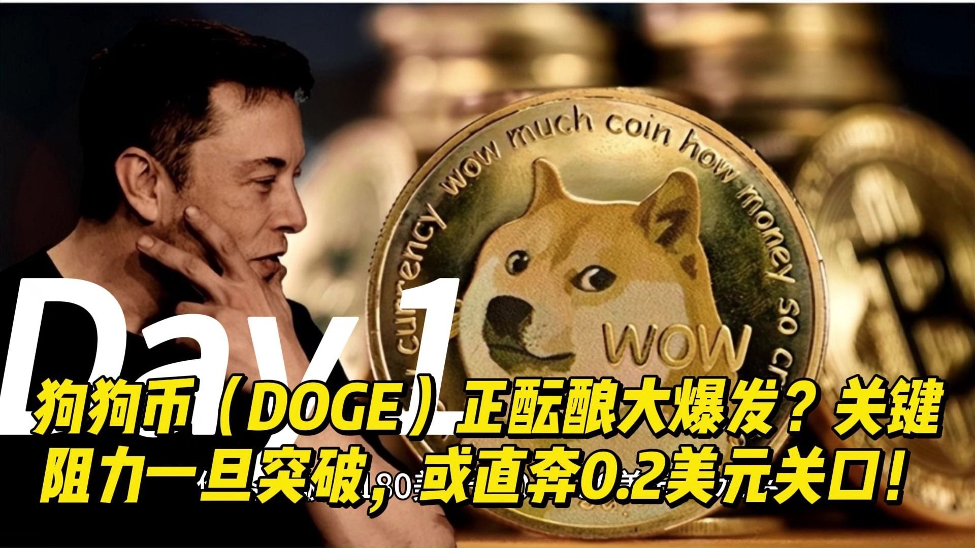 关于狗狗币紧急遇到安全漏洞，损失达到59万美元！的信息