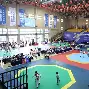 开云注册平台-跆拳道赛场再起风云：洞庭鲨队队惊险晋级中原独角兽队，赛场气氛火爆边后卫成为亮点的简单介绍